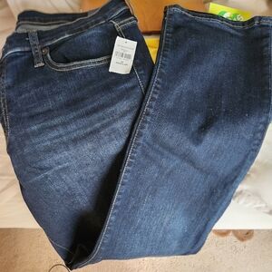 GAP Jeans (NWT)